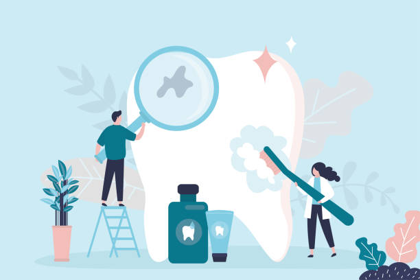 Professional  Holistic Dental Services in Edina, MN